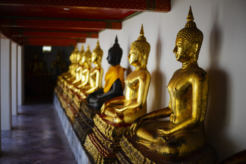 Row of buddha statue. Wat Pho, Bangkok, Thailand