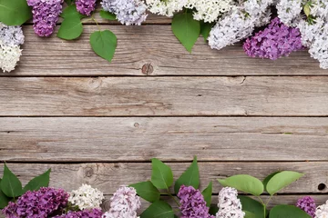 Foto op Plexiglas Colorful lilac flowers © karandaev