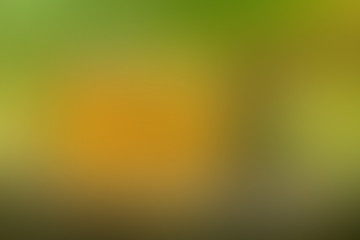 Gradient abstract background green, grass, meadow, lawn, field, backyard with copy space