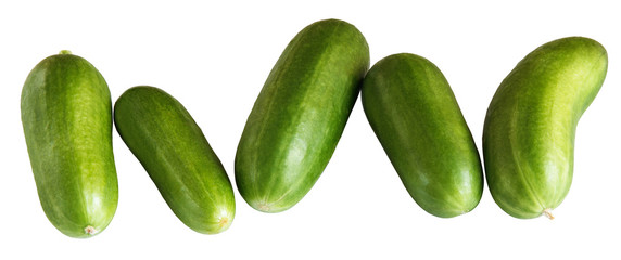 group of short cucumbers isolated on white background