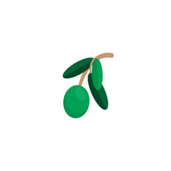 Vector illustration of  green olive