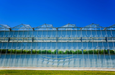 Modern glass greenhouses against the blue sky.