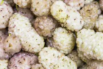 Close-up View of ripe white mulberry as background. white mulberry 