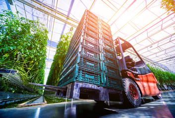 Electric forklift in greenhouse. Background © romaset