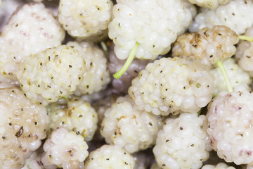 Close-up View of ripe white mulberry as background. white mulberry 