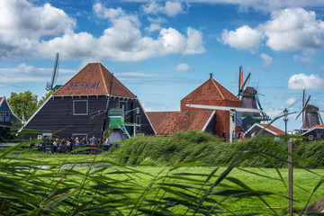 Fototapeta na wymiar Characteristic green Zaans houses and windmills on the Zaanse Schans