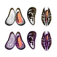 Mussels isoleted on white.. Flat Gradient Sea Food Concept