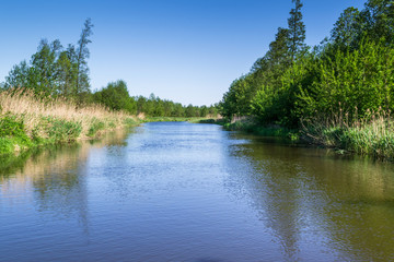 Dziko płynąca rzeka w środkowej Polsce