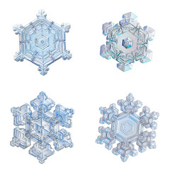 Four snowflakes isolated on white background. Macro photo of real snow crystals: small star plates with glossy relief surface, simple shapes, large central hexagons and complex inner patterns.