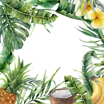 Watercolor tropical frame with exotic leaves, fruit and flowers. Hand painted floral illustration with banana and coconut palm branches, plumeria, pineapple isolated on white background for design