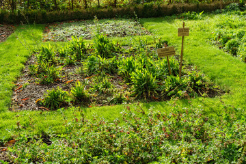 Fototapeta premium F, Bretagne, Finistère, Daoulas, Kloster von Daoulas, Klostergarten