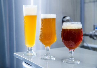 Micro brewery concept, closeup of three kinds of beer in production, IPA, red IPA and wheat beer 