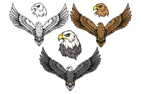 American eagle set. Bald eagle logo. Wild birds drawing. Head of an eagle. Vector graphics to design.