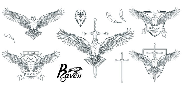 Set of different carrion-crows. Hand drawn of the raven. Wild birds drawing. Raven logo. Vector graphics to design.