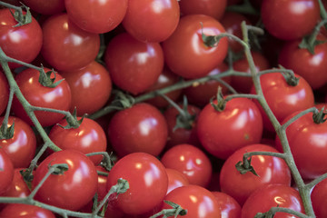 delicious red tomatoes for gourmet food
