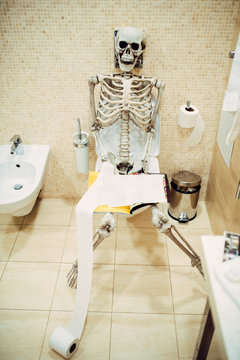 Human skeleton with book in hand sitting on toilet