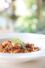 spaghetti Bolognese with minced beef and tomato sauce garnished with parmesan cheese and basil , Italian food