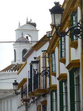 Almonte pueblo español de la provincia de Huelva, Andalucía (España) conocido por la romeria de El Rocio junto a Doñana