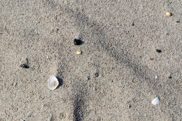 Sand beach closeup