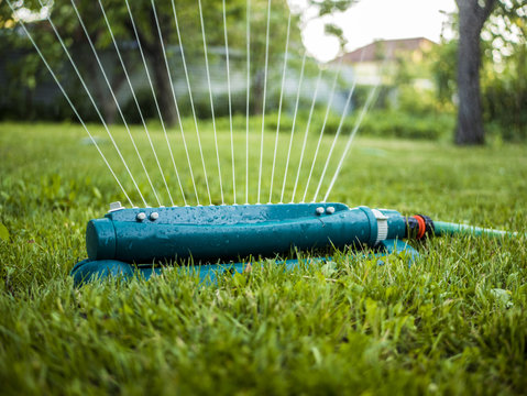 close up automatic system of water splinker pouring green lawn in the garden