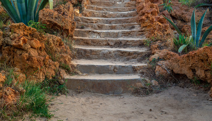 Natural stone stairway with green bushes on both sides at Montaza Public Park in summer time, Alexandria, Egypt