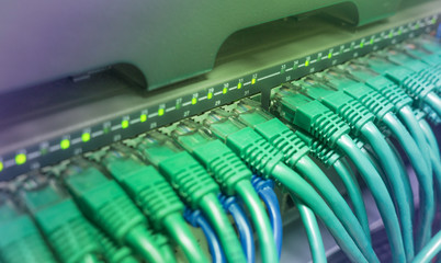 Green patch cord internet cables