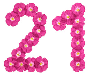 Arabic numeral 21, twenty one, twenty, from pink flowers of flax, isolated on white background