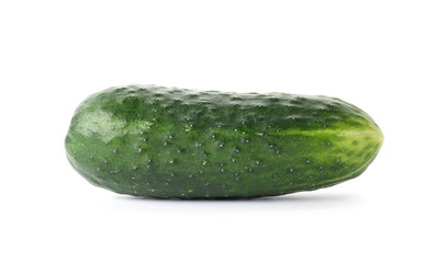 Fresh green cucumber on white background
