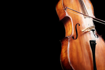 Cello closeup. Violoncello with bow