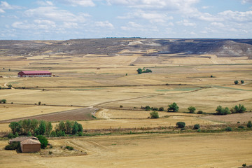 Fototapeta premium Beautiful natural landscape