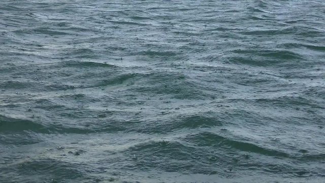 Rain drops fall on the sea surface.