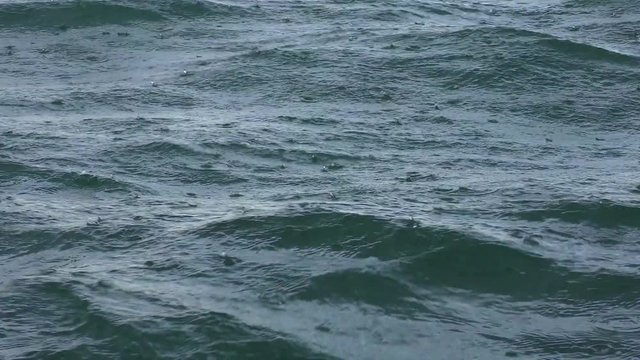 Rain drops fall on the sea surface.