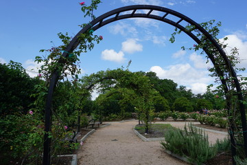 Rose garden trail