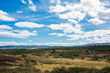 Fototapeta premium Beautiful natural landscape