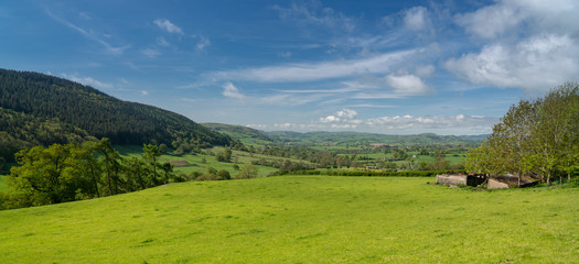 Panorama over typical english or welsh farming country © steheap