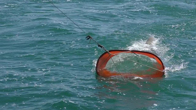 Marine Research: A neuston network is extracted from water - a trap for studying plankton organisms inhabiting the upper layer of water.