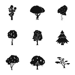 Arboreal plant icons set. Simple illustration of 9 arboreal plant vector icons for web