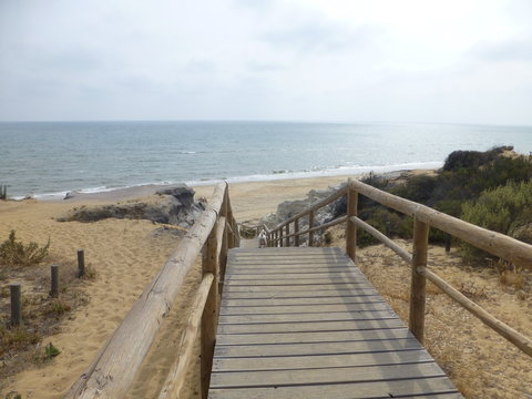 Parque Doñana zona Playa Cuesta Maneli en Huelva, zona costera con playa de arena fina blanca que forma parte del Parque de Doñana