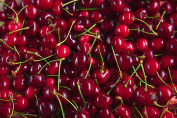 bright and juicy cherry fruit, fruit texture