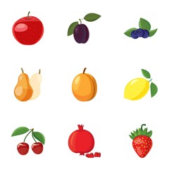 Orchard fruits icons set. Cartoon illustration of 9 orchard fruits vector icons for web