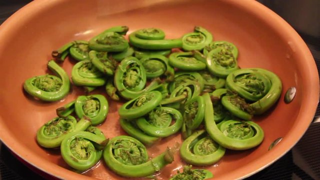 Ostrich Fern Fiddleheads cooking on the pan