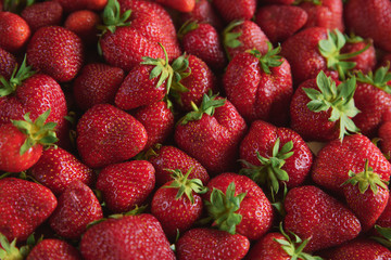 bright and juicy strawberries, the texture of the berries