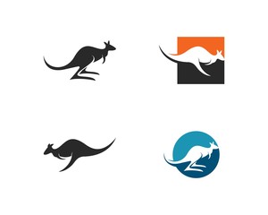 Obraz premium kangaroo Logo Template