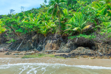 Natural vegetation monster face done by nature