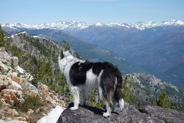 Landscapes of the Pacific Northwest