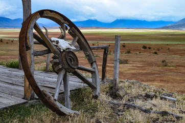 Fototapeta premium Old wagon wheel and sheep skull at Estancia ranch outpost in Patagonia, Argentina