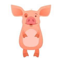 Cute pig cartoon