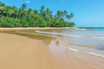 The isolated paradise beach with sunny day