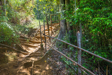 Beautiful nature in Brazil near Itacare city