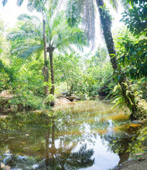 Itacare, Brazil - December 9, 2016: Wood canoe in beautiful nature by the river bank